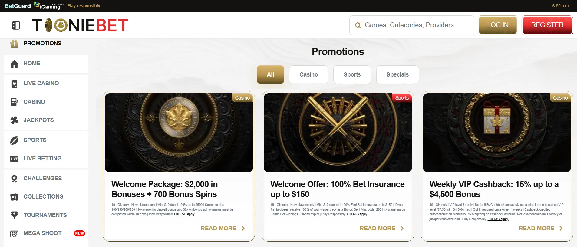 Bonus Terms to Check — online casino Canada